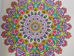 whatsapp bild 2023-07-12 um 14.17.25